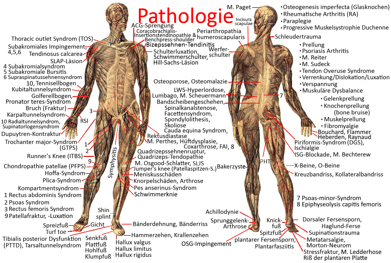 Pathologie